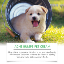Calendula Pet Skin Care Cream