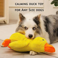 Duck Plush Toy for Dogs & Cats