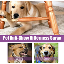 Chamomile & Lavender Pet Calming Spray