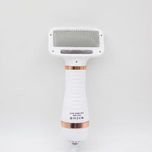 2-in-1 Pet Dryer & Brush