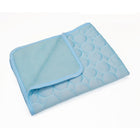 Light Blue - Ice Silk Cushion / XS-40X30