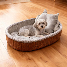 Cozy Fleece Cave Bed for Dogs & Cats