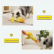 Duck Plush Toy for Dogs & Cats
