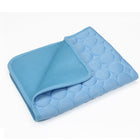 Blue - Ice Silk Cushion / XS-40X30