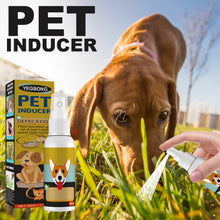 Pet Potty Training Spray