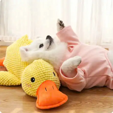 Duck Plush Toy for Dogs & Cats