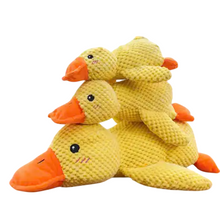 Duck Plush Toy for Dogs & Cats