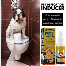 Pet Potty Training Spray
