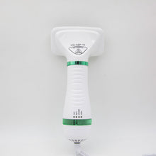 2-in-1 Pet Dryer & Brush