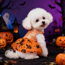 Shiny Halloween Pet Costume