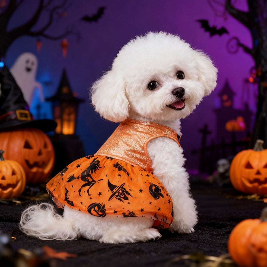 Shiny Halloween Pet Costume