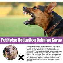 Chamomile & Lavender Pet Calming Spray