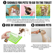 Pet Potty Training Spray