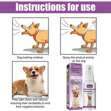 Chamomile & Lavender Pet Calming Spray