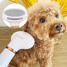 2-in-1 Pet Dryer & Brush