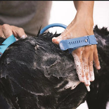 Pet Bath Sprayer & Massage Brush