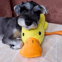 Duck Plush Toy for Dogs & Cats