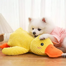 Duck Plush Toy for Dogs & Cats